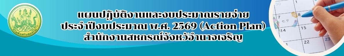 Action Plan