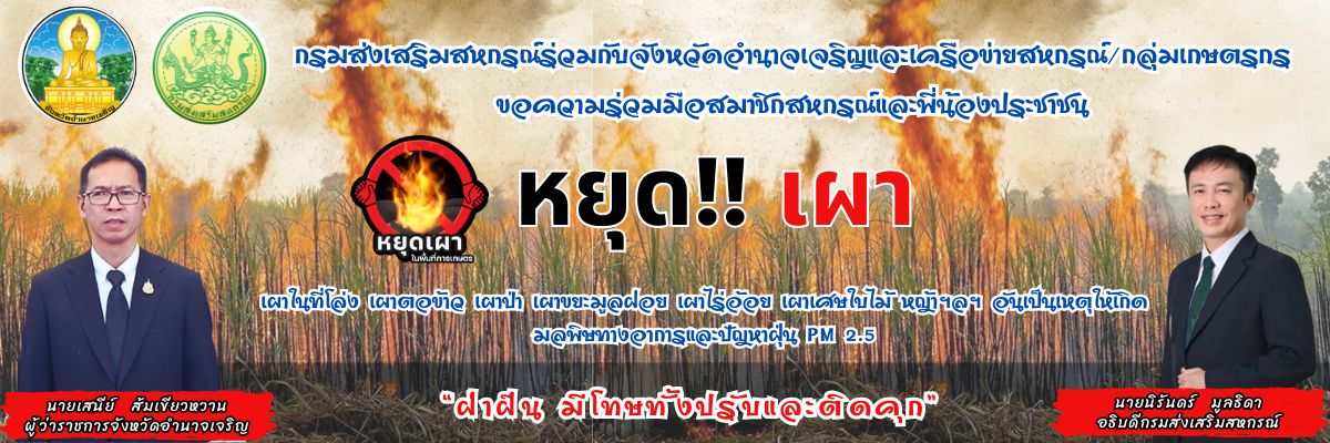 หยุดเผา