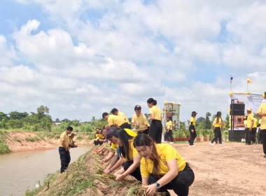 โครงการรณรงค์และส่งเสริมการปลูกหญ้าแฝก ... พารามิเตอร์รูปภาพ 6