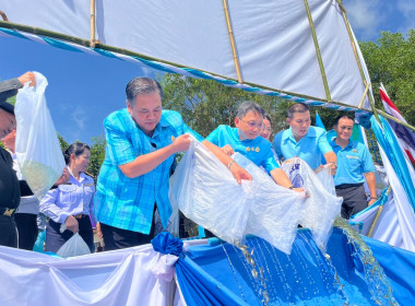 พิธีปล่อยพันธ์สัตว์น้ำเนื่องในวันเฉลิมพระชนพรรษาสมเด็จพระนางเจ้าสิริกิติ์ พระบรมราชินีนาถ พระบรมราชชนนีพันปีหลวง ... พารามิเตอร์รูปภาพ 5