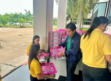 สนับสนุนการจำหน่ายและกระจายผลผลิตทางการเกษตร “มังคุด&quot; ... พารามิเตอร์รูปภาพ 2