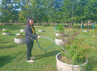 กิจกรรมวันรักต้นไม้ประจำปีของชาติ พ.ศ. 2567 พารามิเตอร์รูปภาพ 13