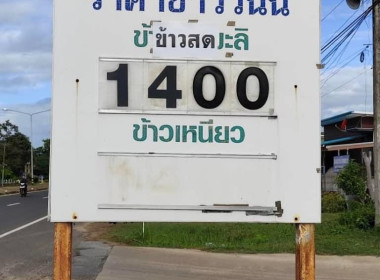 ธุรกิจการรวบรวมข้าวเปลือก สหกรณ์การเกษตรหัวตะพาน จำกัด พารามิเตอร์รูปภาพ 3