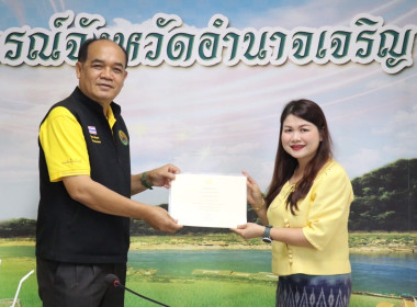 ผู้ตรวจราชการกรม ... พารามิเตอร์รูปภาพ 19