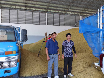 ธุรกิจการรวบรวมข้าวเปลือก สหกรณ์การเกษตรหัวตะพาน จำกัด พารามิเตอร์รูปภาพ 1