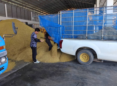 ธุรกิจการรวบรวมข้าวเปลือก สหกรณ์การเกษตรหัวตะพาน จำกัด พารามิเตอร์รูปภาพ 2