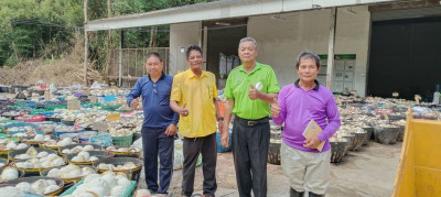 ธุรกิจการรวบรวมยางพารากลุ่มเกษตรกรชาวสวนยางอำเภอหัวตะพาน พารามิเตอร์รูปภาพ 1