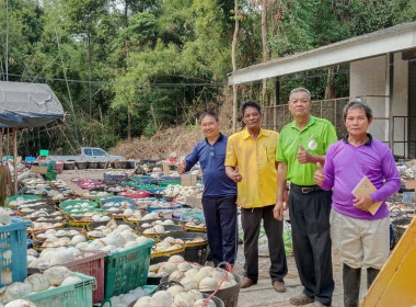 ธุรกิจการรวบรวมยางพารากลุ่มเกษตรกรชาวสวนยางอำเภอหัวตะพาน พารามิเตอร์รูปภาพ 5