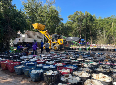 ธุรกิจการรวบรวมยางพารากลุ่มเกษตรกรชาวสวนยางอำเภอหัวตะพาน พารามิเตอร์รูปภาพ 4