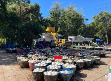 ธุรกิจการรวบรวมยางพารากลุ่มเกษตรกรชาวสวนยางอำเภอหัวตะพาน พารามิเตอร์รูปภาพ 5