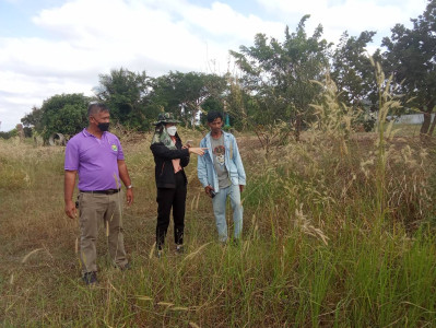 ลงพื้นที่ตรวจสอบการขออนุญาตใช้ที่ดินในนิคมสหกรณ์พนา พารามิเตอร์รูปภาพ 1