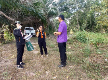 ลงพื้นที่ตรวจสอบการขออนุญาตใช้ที่ดินในนิคมสหกรณ์พนา พารามิเตอร์รูปภาพ 3