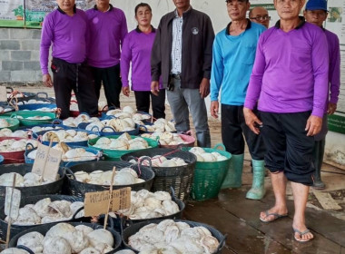 ธุรกิจการรวบรวมยางพารา กลุ่มเกษตรกรชาวสวนยางอำเภอหัวตะพาน พารามิเตอร์รูปภาพ 1