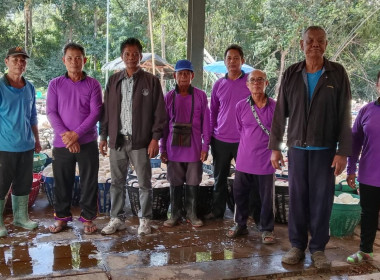 ธุรกิจการรวบรวมยางพารา กลุ่มเกษตรกรชาวสวนยางอำเภอหัวตะพาน พารามิเตอร์รูปภาพ 2