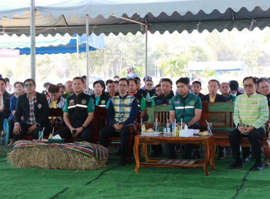 โครงการส่งเสริมการเกษตรที่เป็นมิตรกับสิ่งแวดล้อม ... พารามิเตอร์รูปภาพ 4