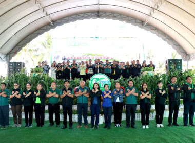 โครงการส่งเสริมการเกษตรที่เป็นมิตรกับสิ่งแวดล้อม ... พารามิเตอร์รูปภาพ 3