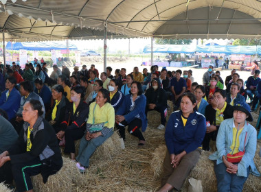 โครงการส่งเสริมการเกษตรที่เป็นมิตรกับสิ่งแวดล้อม ... พารามิเตอร์รูปภาพ 6