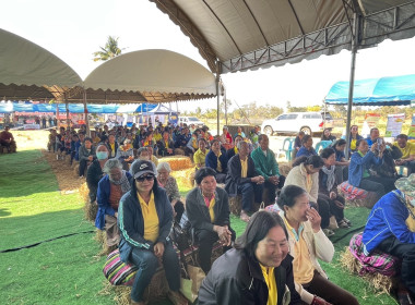 โครงการส่งเสริมการเกษตรที่เป็นมิตรกับสิ่งแวดล้อม ... พารามิเตอร์รูปภาพ 9