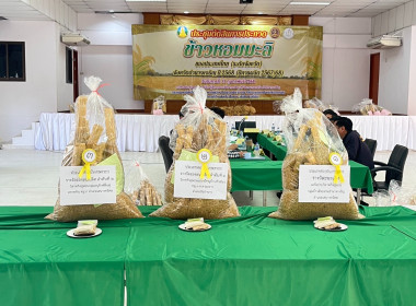การประกวดข้าวหอมมะลิของประเทศไทย (ระดับจังหวัด) ... พารามิเตอร์รูปภาพ 10