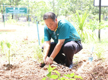 โครงการเสริมสร้างสมดุลชีวิตคนทำงาน (Work Life Balance) ... พารามิเตอร์รูปภาพ 13