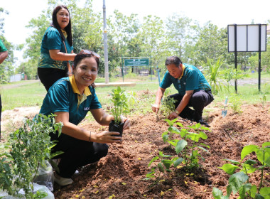 โครงการเสริมสร้างสมดุลชีวิตคนทำงาน (Work Life Balance) ... พารามิเตอร์รูปภาพ 14