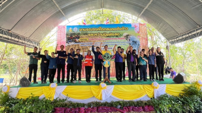 ร่วมงานรณรงค์ไถกลบตอซังข้าวและหว่านปุ๋ยพืชสด พารามิเตอร์รูปภาพ 1