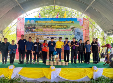 ร่วมงานรณรงค์ไถกลบตอซังข้าวและหว่านปุ๋ยพืชสด พารามิเตอร์รูปภาพ 5