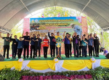 ร่วมงานรณรงค์ไถกลบตอซังข้าวและหว่านปุ๋ยพืชสด พารามิเตอร์รูปภาพ 2