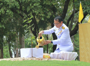 ร่วมพิธีปลูก “พระศรีมหาโพธิทศมราชบพิตร” ... พารามิเตอร์รูปภาพ 3
