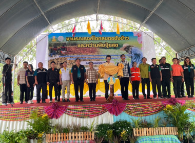 ร่วมงานรณรงค์ไถกลบตอซังข้าวและหว่านปุ๋ยพืชสด พารามิเตอร์รูปภาพ 2