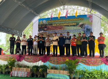 ร่วมงานรณรงค์ไถกลบตอซังข้าวและหว่านปุ๋ยพืชสด พารามิเตอร์รูปภาพ 6
