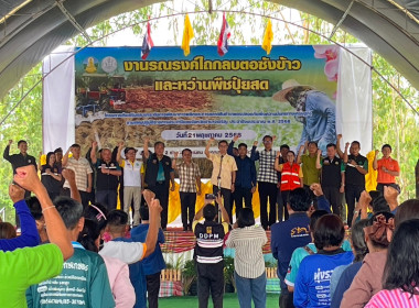 ร่วมงานรณรงค์ไถกลบตอซังข้าวและหว่านปุ๋ยพืชสด พารามิเตอร์รูปภาพ 7