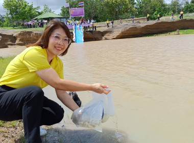 กิจกรรมเฉลิมพระเกียรติสมเด็จพระนางเจ้าฯ พระบรมราชินี ... พารามิเตอร์รูปภาพ 6