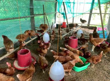 ร่วมตรวจประเมินพิจารณาคัดเลือกสหกรณ์และกลุ่มเกษตรกรต้นแบบที่น้อมนำหลักปรัชญาของเศรษฐกิจพอเพียงไปประยุกต์ใช้ในการดำเนินงาน ... พารามิเตอร์รูปภาพ 15