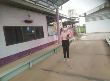 โครงการเพิ่มประสิทธิภาพด้านการผลิตและการขนส่งของสหกรณ์เพื่อเป็นต้นแบบในการบริหารจัดการ ... พารามิเตอร์รูปภาพ 6