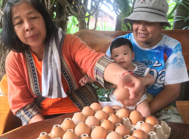 แนะนำส่งเสริมการดำเนินงานธุรกิจกลุ่มเกษตรกรทำนาหนองมะแซว พารามิเตอร์รูปภาพ 7