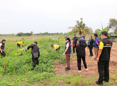 ร่วมตรวจประเมินกับคณะอนุกรรมการตรวจประเมินพิจารณาคัดเลือกสหกรณ์และกลุ่มเกษตรกรต้นแบบที่น้อมนำหลักปรัชญาของเศรษฐกิจพอเพียงไปประยุกต์ใช้ในการดำเนินงาน ... พารามิเตอร์รูปภาพ 7