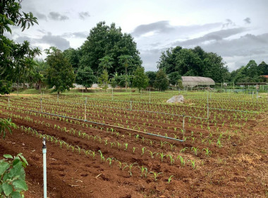 ร่วมตรวจประเมินกับคณะอนุกรรมการตรวจประเมินพิจารณาคัดเลือกสหกรณ์และกลุ่มเกษตรกรต้นแบบที่น้อมนำหลักปรัชญาของเศรษฐกิจพอเพียงไปประยุกต์ใช้ในการดำเนินงาน ... พารามิเตอร์รูปภาพ 8