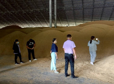 สำนักงานสหกรณ์จังหวัดอำนาจเจริญ ร่วมตรวจสต็อกข้าว พารามิเตอร์รูปภาพ 4