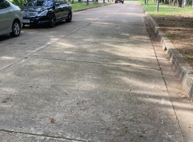 กิจกรรมบำเพ็ญสาธารณประโยชน์ปรับปรุงภูมิทัศน์ ... พารามิเตอร์รูปภาพ 7