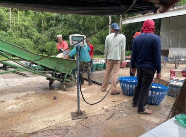 ธุรกิจรวบรวมยางพารา กลุ่มเกษตรกรชาวสวนยางอำเภอหัวตะพาน พารามิเตอร์รูปภาพ 6
