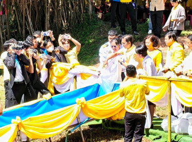 ร่วมพิธีปล่อยพันธุ์สัตว์น้ำ ... พารามิเตอร์รูปภาพ 10