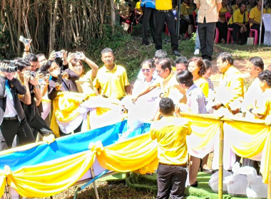 ร่วมพิธีปล่อยพันธุ์สัตว์น้ำ ... พารามิเตอร์รูปภาพ 11