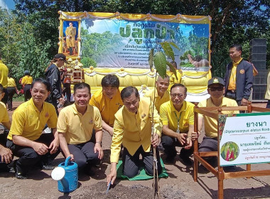 กิจกรรมปลูกป่าเฉลิมพระเกรียติ ... พารามิเตอร์รูปภาพ 2