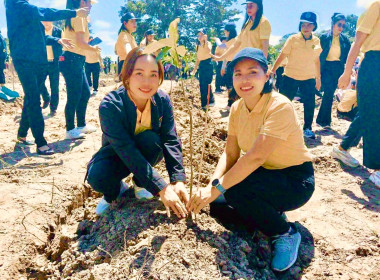 กิจกรรมปลูกป่าเฉลิมพระเกรียติ ... พารามิเตอร์รูปภาพ 5