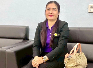 การจัดทำแผนยุทธศาสตร์/กลยุทธ์ ... พารามิเตอร์รูปภาพ 4