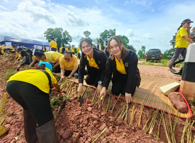 โครงการรณรงค์และส่งเสริมการปลูกหญ้าแฝก ... พารามิเตอร์รูปภาพ 5