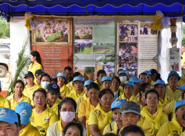 โครงการรณรงค์และส่งเสริมการปลูกหญ้าแฝก ... พารามิเตอร์รูปภาพ 6