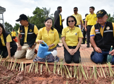 โครงการรณรงค์และส่งเสริมการปลูกหญ้าแฝก ... พารามิเตอร์รูปภาพ 7