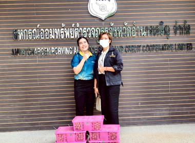 สำนักงานสหกรณ์จังหวัดอำนาจเจริญและเครือข่ายสหกรณ์ ... พารามิเตอร์รูปภาพ 5